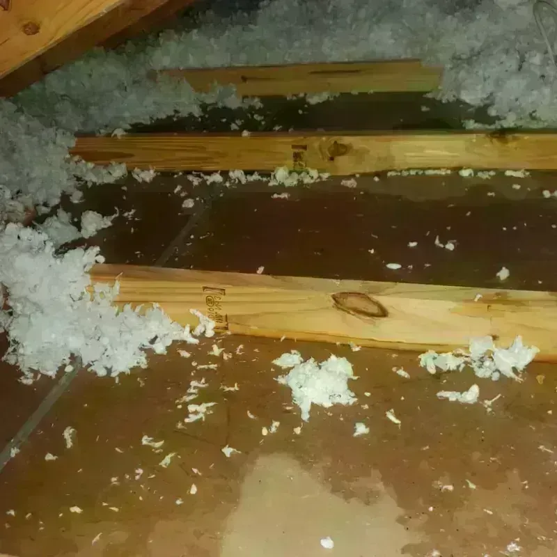 Attic Water Damage in Luquillo Municipio, PR